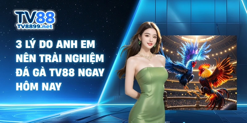 3 lý do anh em nên trải nghiệm đá gà TV88 ngay hôm nay